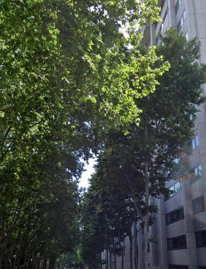 Bernabeu, Luxury Y Luminoso Apartamento Entero Мадрид Экстерьер фото